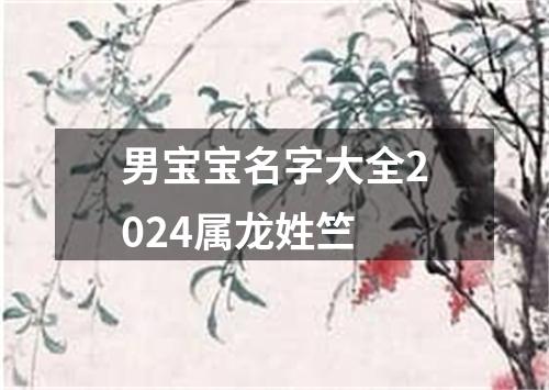 男宝宝名字大全2024属龙姓竺