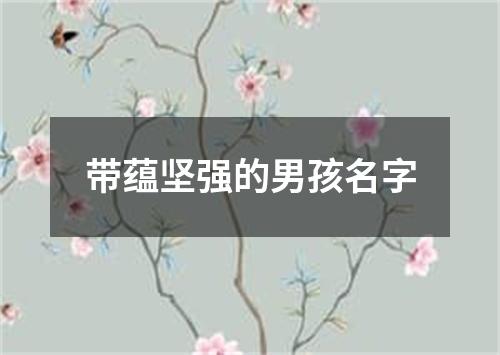 带蕴坚强的男孩名字