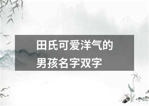 田氏可爱洋气的男孩名字双字