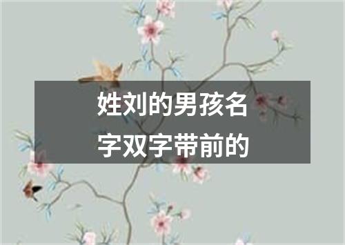 姓刘的男孩名字双字带前的