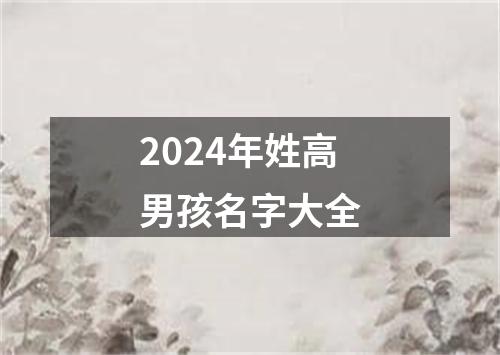 2024年姓高男孩名字大全