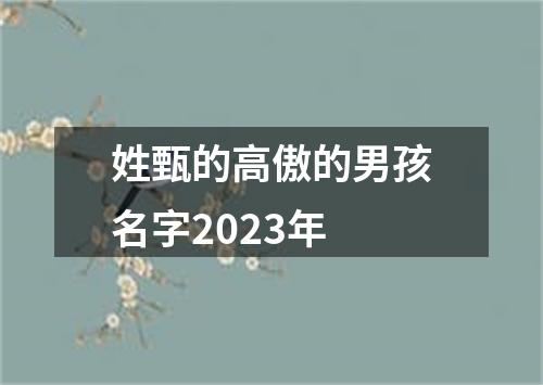 姓甄的高傲的男孩名字2023年