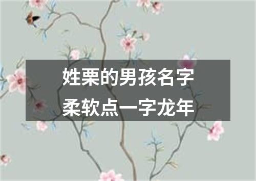 姓栗的男孩名字柔软点一字龙年