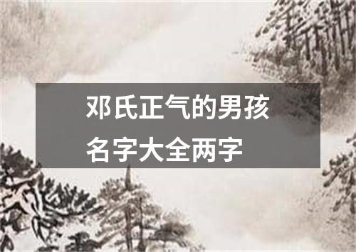 邓氏正气的男孩名字大全两字