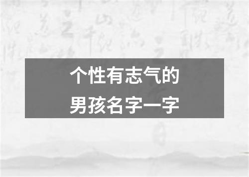 个性有志气的男孩名字一字