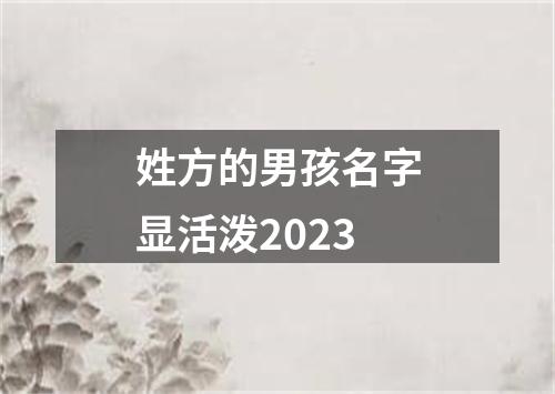 姓方的男孩名字显活泼2023