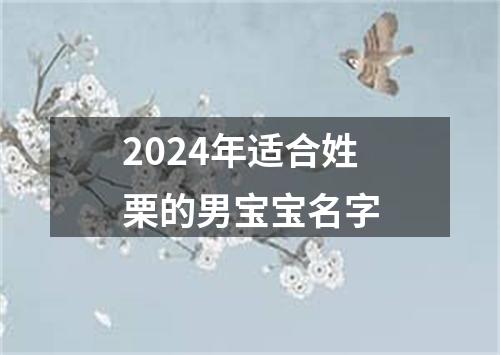 2024年适合姓栗的男宝宝名字