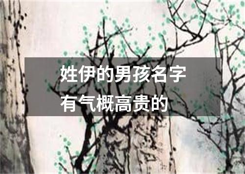 姓伊的男孩名字有气概高贵的