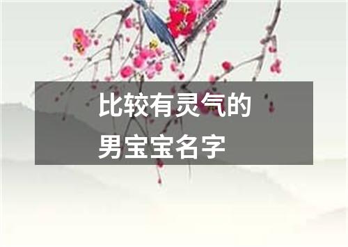 比较有灵气的男宝宝名字