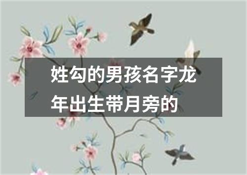 姓勾的男孩名字龙年出生带月旁的