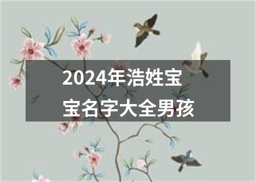 2024年浩姓宝宝名字大全男孩