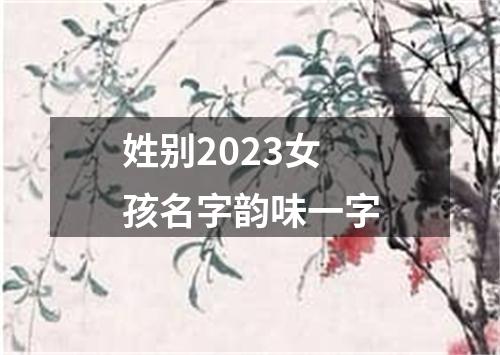 姓别2023女孩名字韵味一字