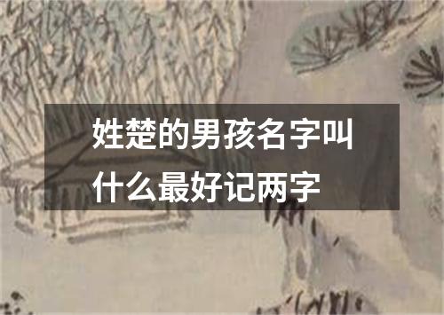 姓楚的男孩名字叫什么最好记两字