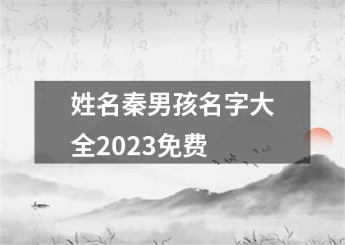 姓名秦男孩名字大全2023免费