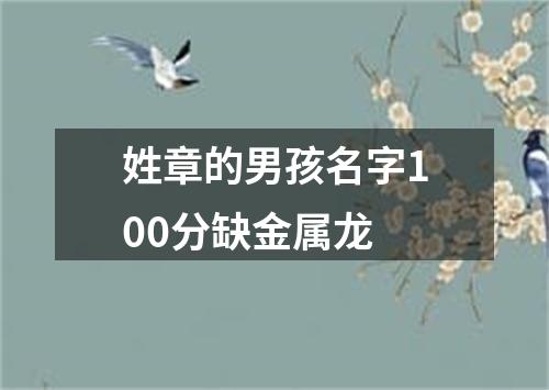 姓章的男孩名字100分缺金属龙