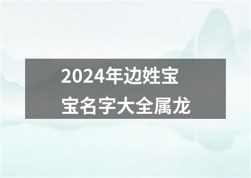 2024年边姓宝宝名字大全属龙