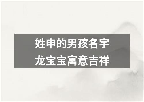 姓申的男孩名字龙宝宝寓意吉祥