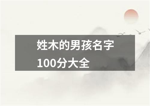 姓木的男孩名字100分大全