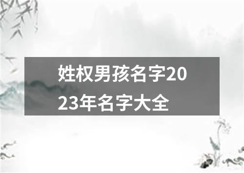 姓权男孩名字2023年名字大全