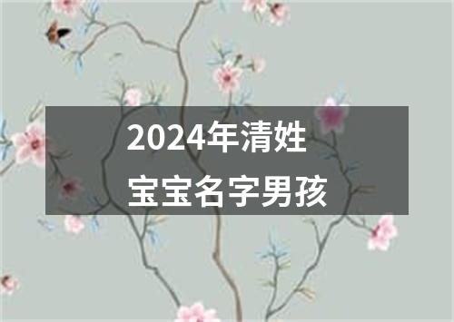 2024年清姓宝宝名字男孩