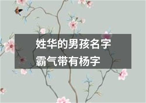 姓华的男孩名字霸气带有杨字