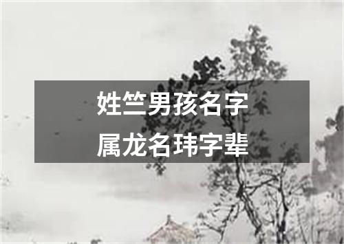 姓竺男孩名字属龙名玮字辈