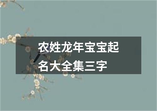 农姓龙年宝宝起名大全集三字