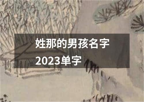 姓那的男孩名字2023单字