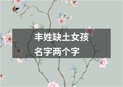 丰姓缺土女孩名字两个字