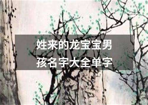 姓来的龙宝宝男孩名字大全单字