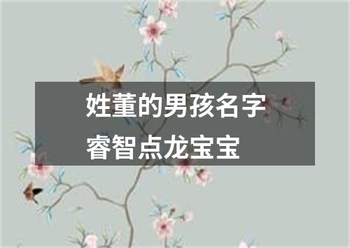 姓董的男孩名字睿智点龙宝宝