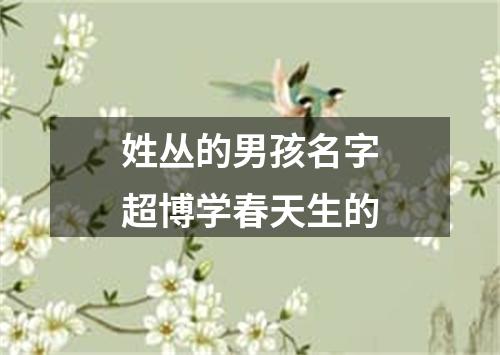 姓丛的男孩名字超博学春天生的