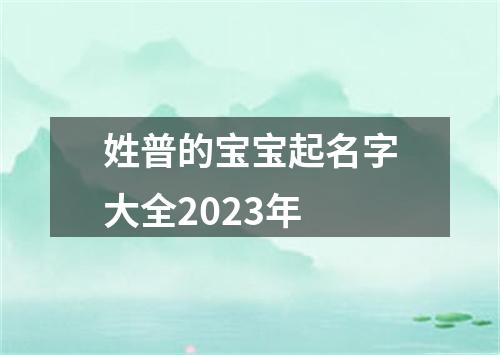 姓普的宝宝起名字大全2023年