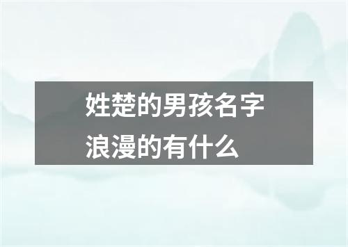 姓楚的男孩名字浪漫的有什么