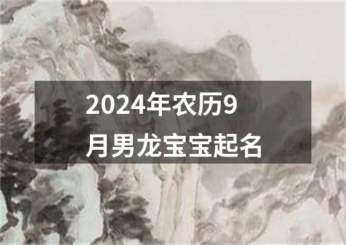 2024年农历9月男龙宝宝起名