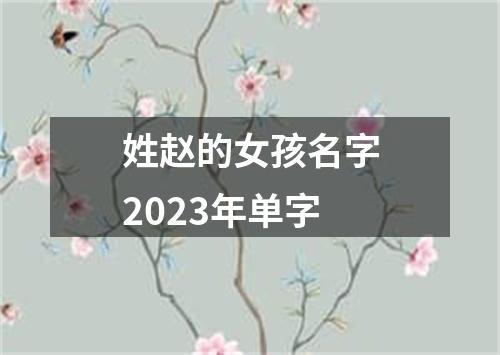 姓赵的女孩名字2023年单字