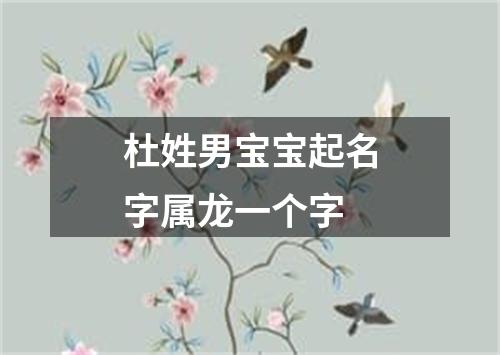 杜姓男宝宝起名字属龙一个字