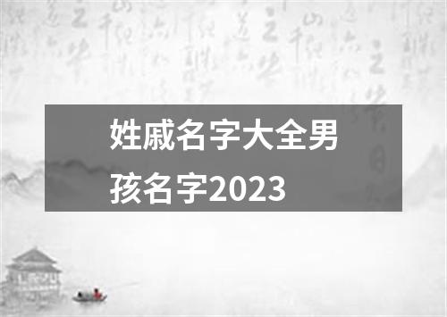 姓戚名字大全男孩名字2023