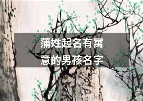 蒲姓起名有寓意的男孩名字