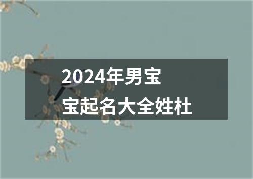 2024年男宝宝起名大全姓杜