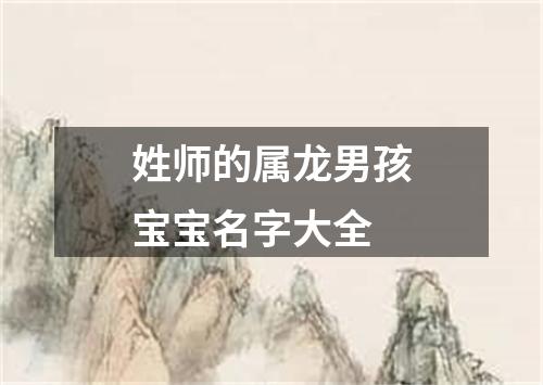 姓师的属龙男孩宝宝名字大全