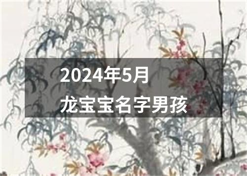 2024年5月龙宝宝名字男孩