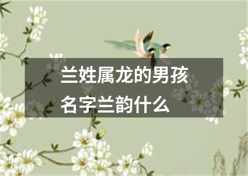 兰姓属龙的男孩名字兰韵什么