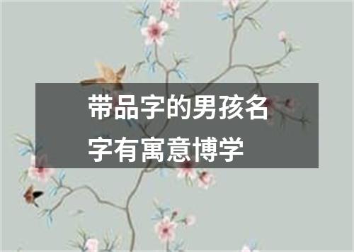 带品字的男孩名字有寓意博学