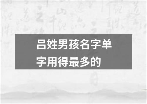 吕姓男孩名字单字用得最多的