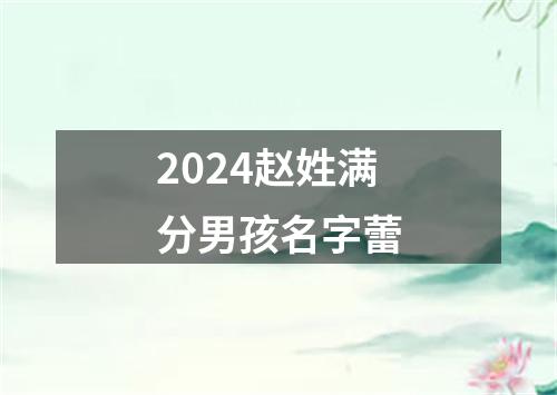 2024赵姓满分男孩名字蕾