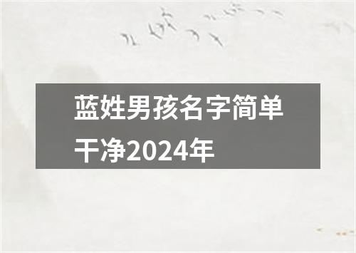 蓝姓男孩名字简单干净2024年