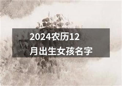 2024农历12月出生女孩名字