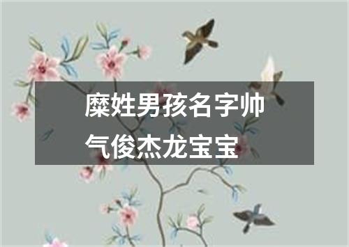 糜姓男孩名字帅气俊杰龙宝宝