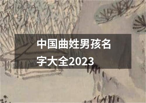 中国曲姓男孩名字大全2023